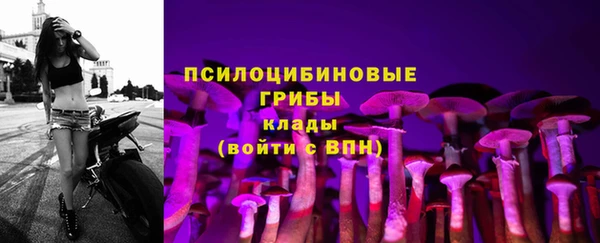 эйфоретик Володарск