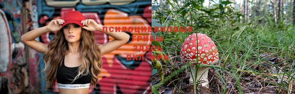 MDMA Premium VHQ Бронницы