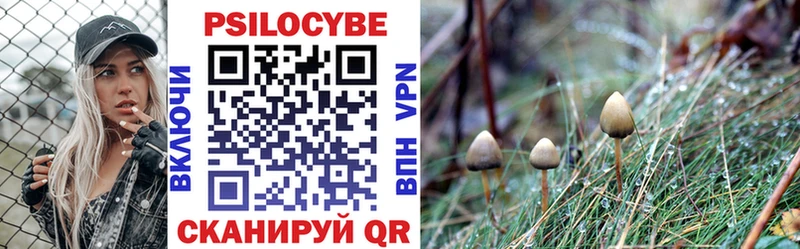 Псилоцибиновые грибы Psilocybine cubensis  darknet состав  Ветлуга  купить закладку 