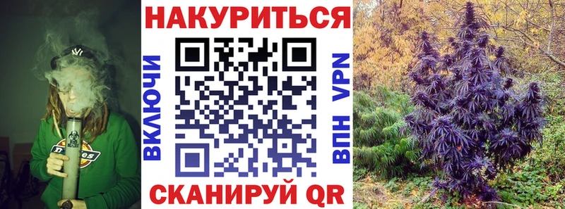 купить  сайты  Ветлуга  Каннабис гибрид 